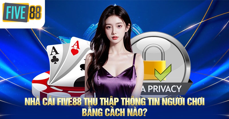 Nhà cái nhà cái FIVE88 thu thập thông tin người chơi bằng cách nào?